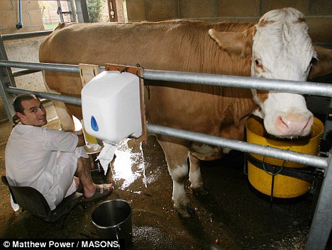Cattle meaning